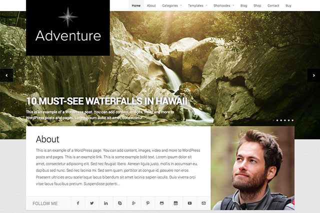 Temi-Wordpress-adventure